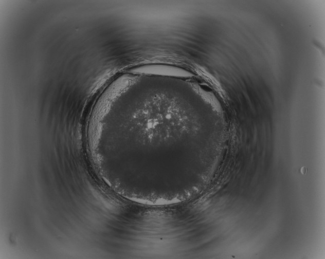 X0000091240298200709061546