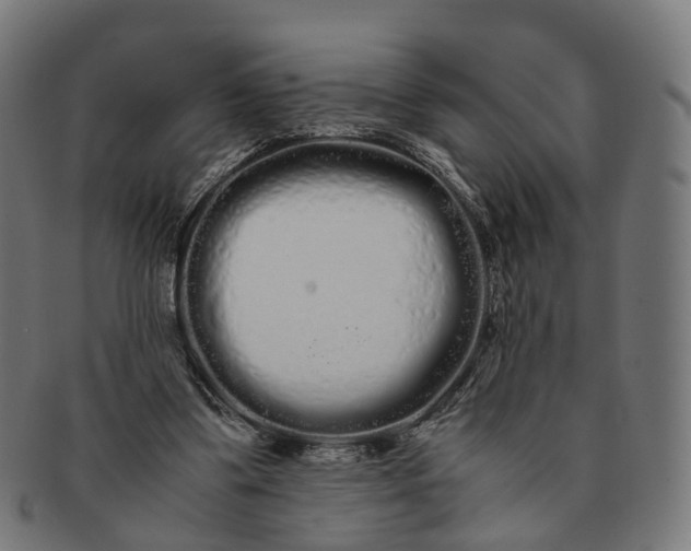 X0000091240299200709061546
