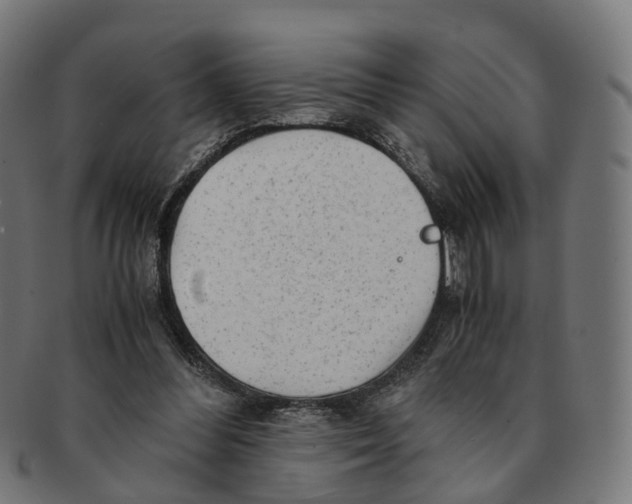 X0000091240300200709061546