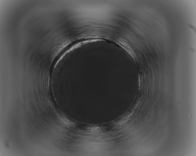 X0000091240301200709061546