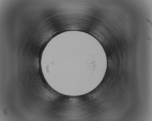 X0000091240302200709061546