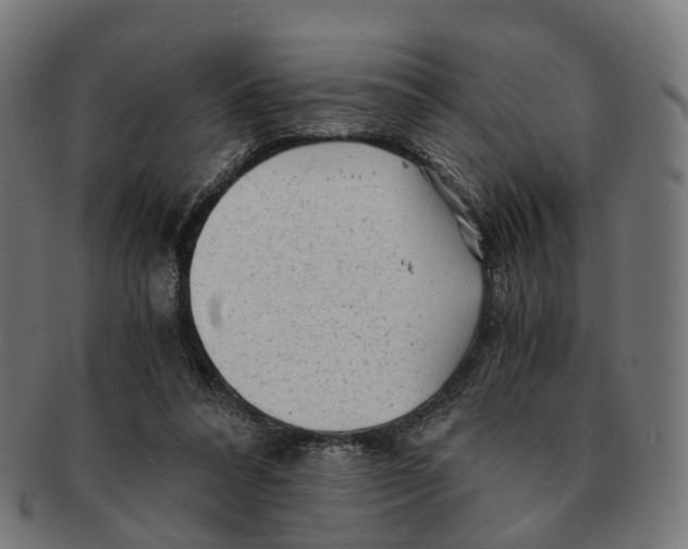 X0000091240304200709061546