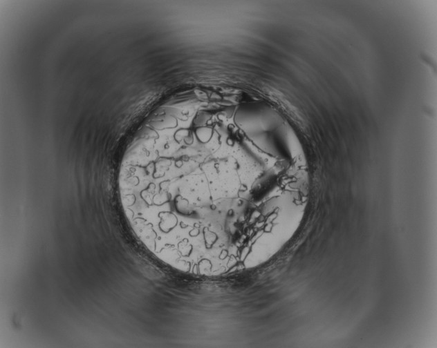 X0000091240305200709061546