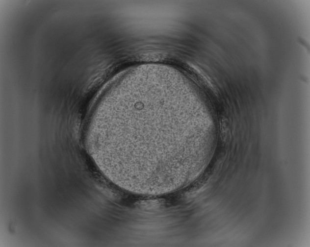 X0000091240307200709061546