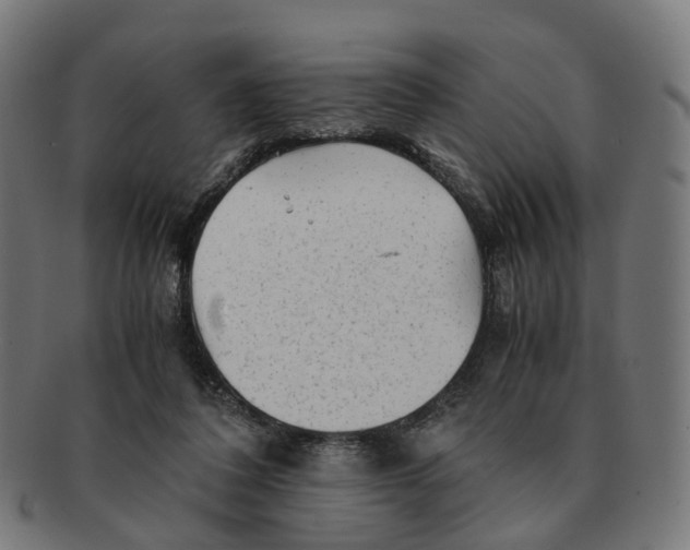 X0000091240308200709061546