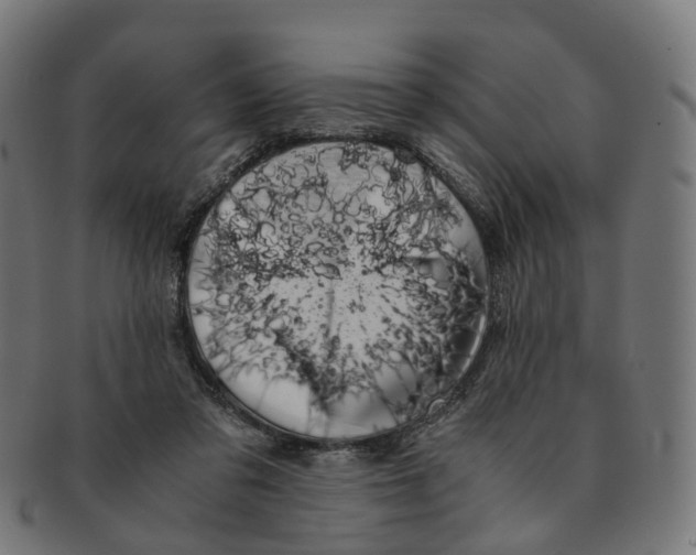 X0000091240309200709061546