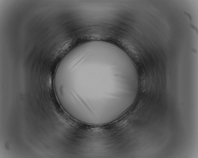 X0000091240310200709061546