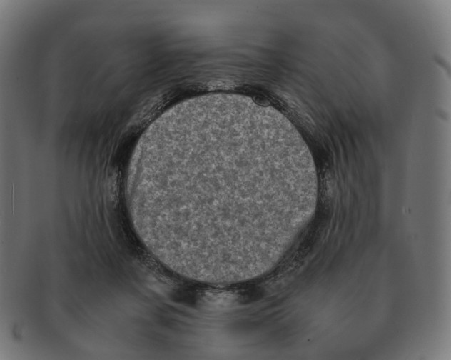 X0000091240311200709061546