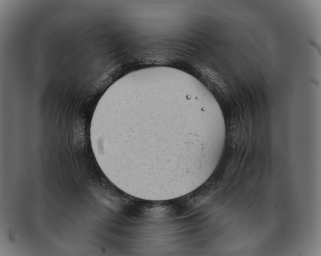 X0000091240312200709061545