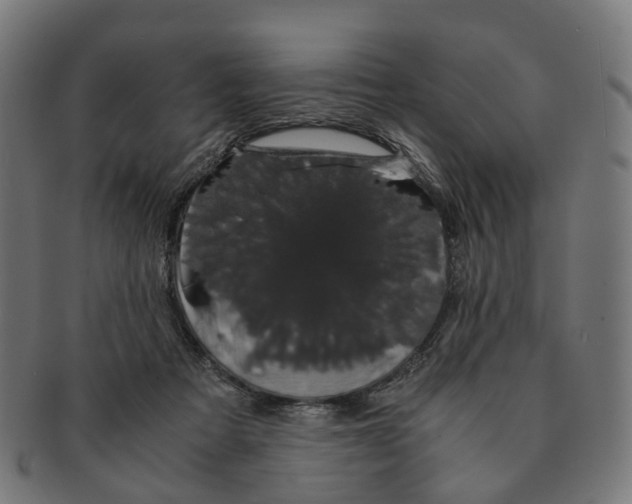 X0000091240313200709061545