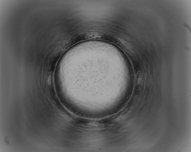 X0000091240315200709061545