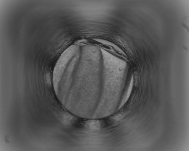 X0000091240317200709061545