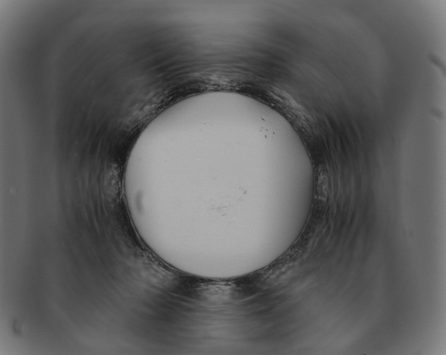 X0000091240318200709061545