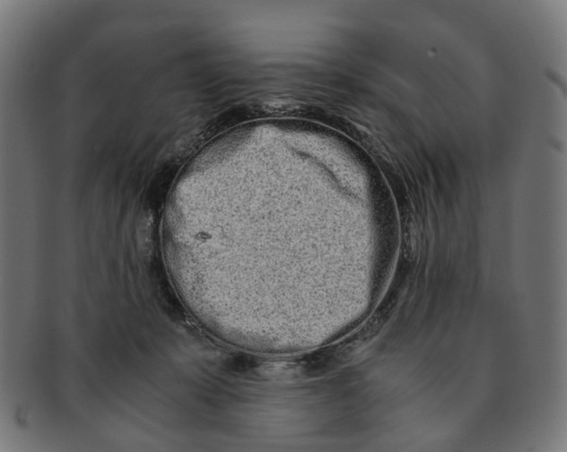 X0000091240319200709061545