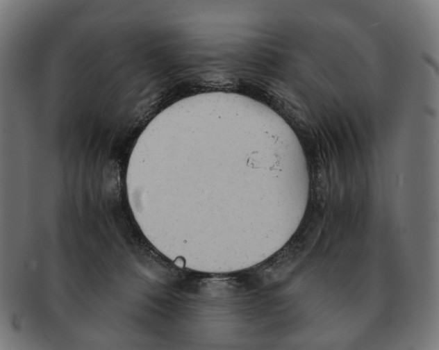 X0000091240320200709061545