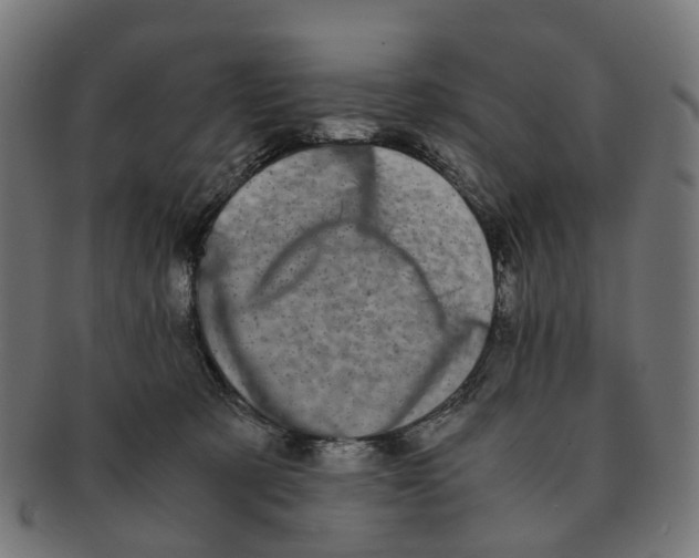 X0000091240321200709061545