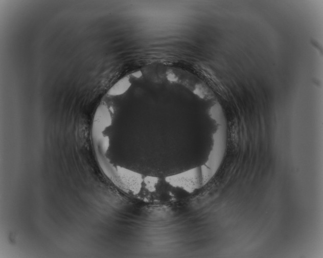 X0000091240322200709061545