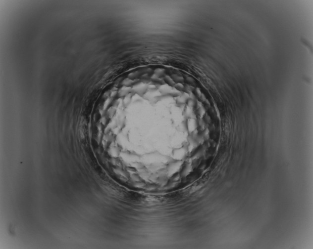 X0000091240323200709061545