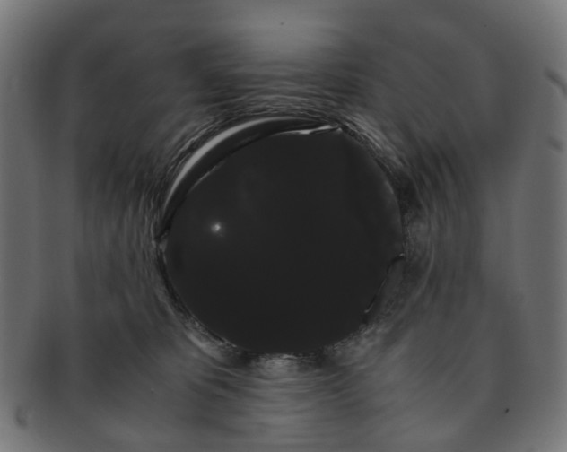 X0000091240325200709061545