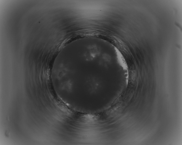 X0000091240326200709061545