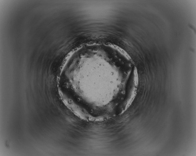 X0000091240327200709061545