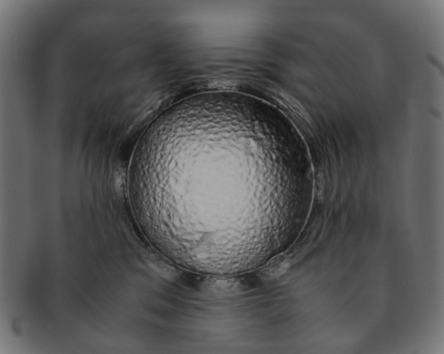 X0000091240329200709061545
