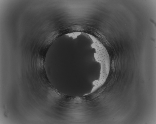 X0000091240330200709061545