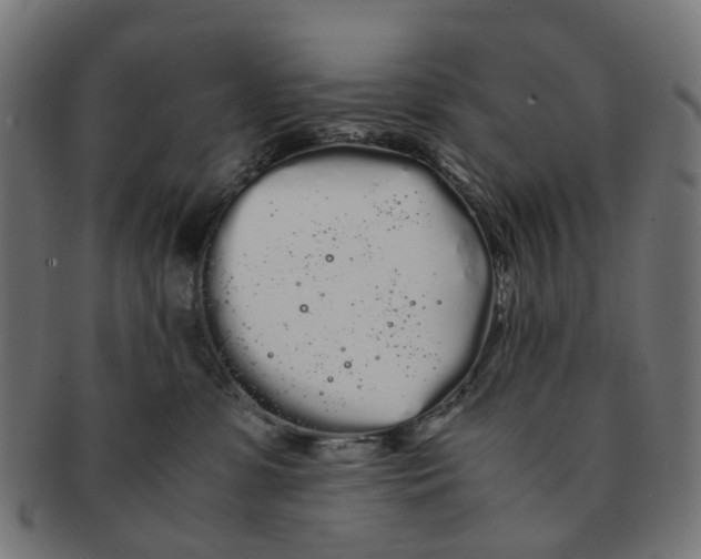 X0000091240331200709061545