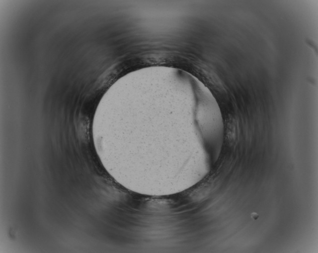 X0000091240332200709061545