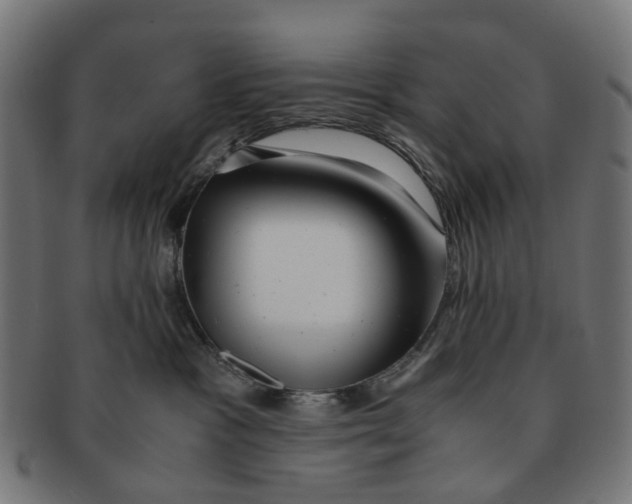 X0000091240333200709061545