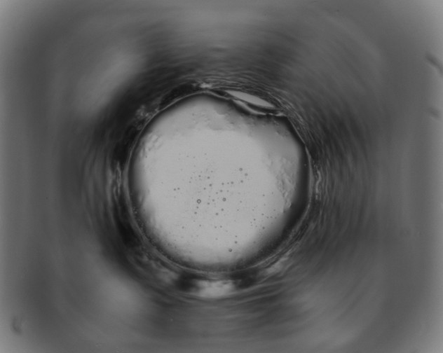 X0000091240335200709061545
