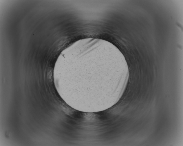 X0000091240336200709061545