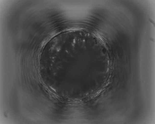 X0000091240337200709061544