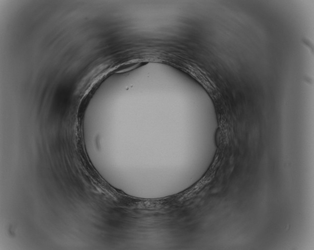 X0000091240338200709061544