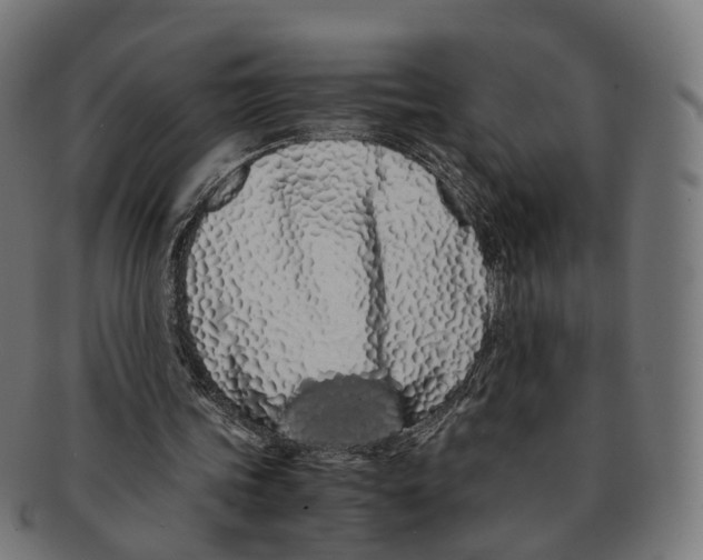 X0000091240339200709061544