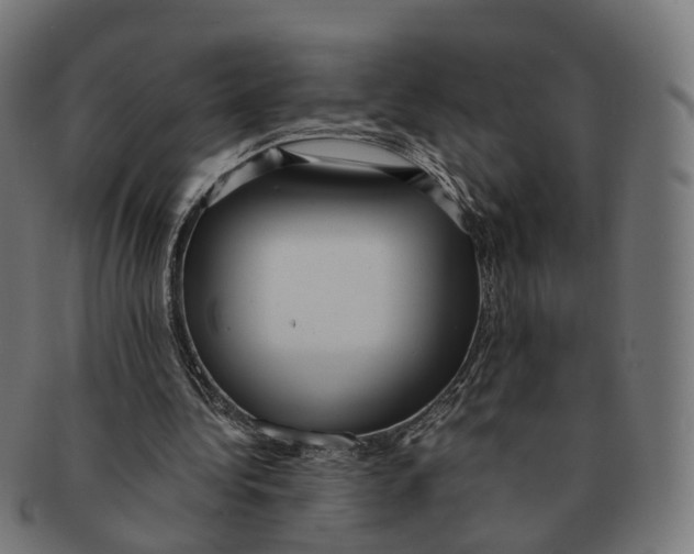 X0000091240340200709061544
