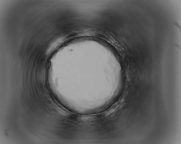 X0000091240341200709061544