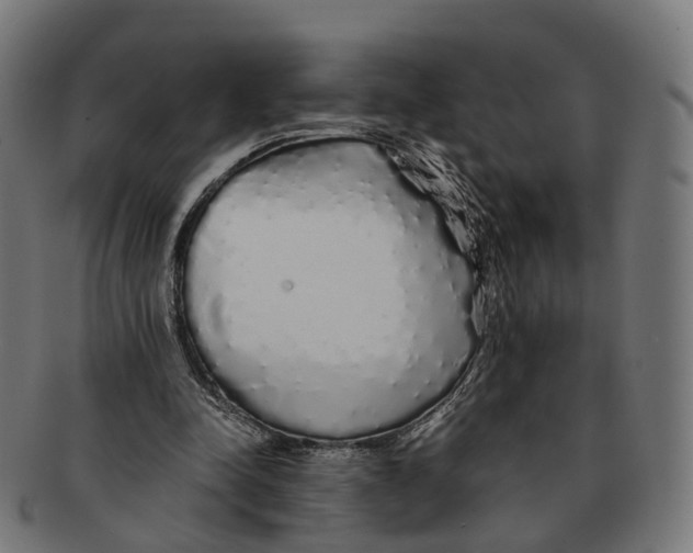 X0000091240342200709061545