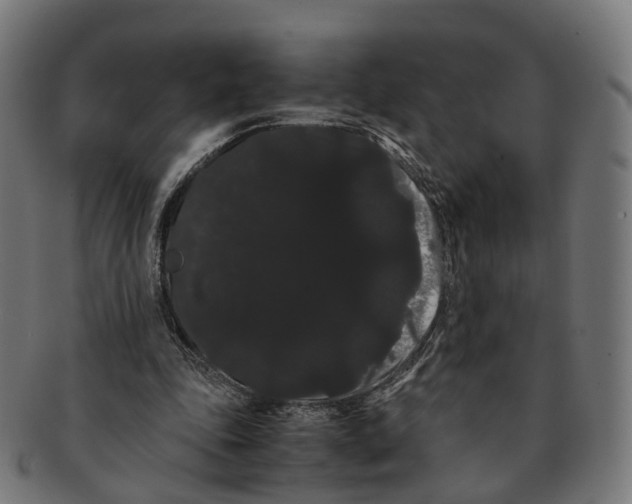 X0000091240343200709061545