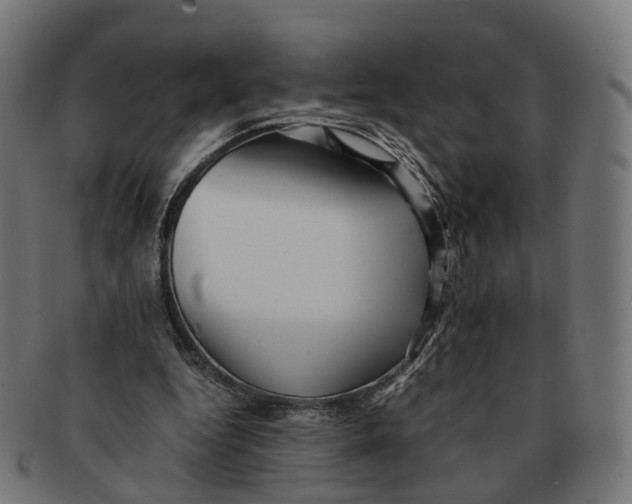 X0000091240344200709061545