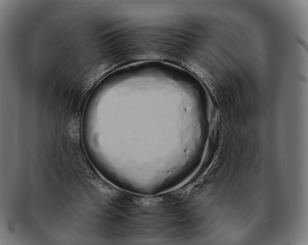 X0000091240345200709061545