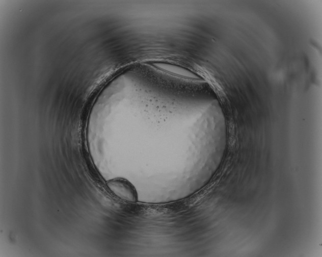 X0000091240346200709061545