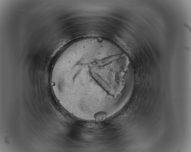 X0000091240347200709061545