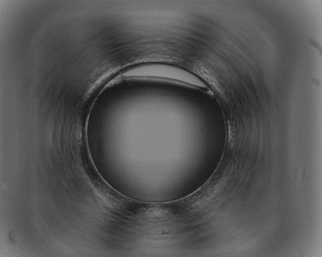 X0000091240348200709061545