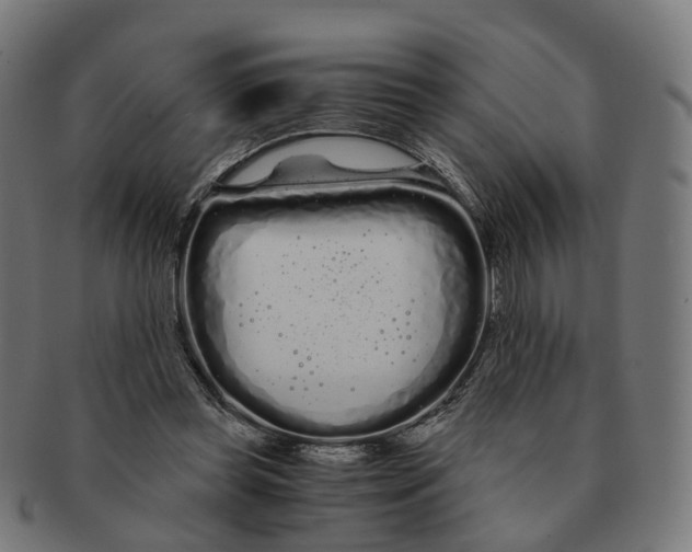 X0000091240349200709061545
