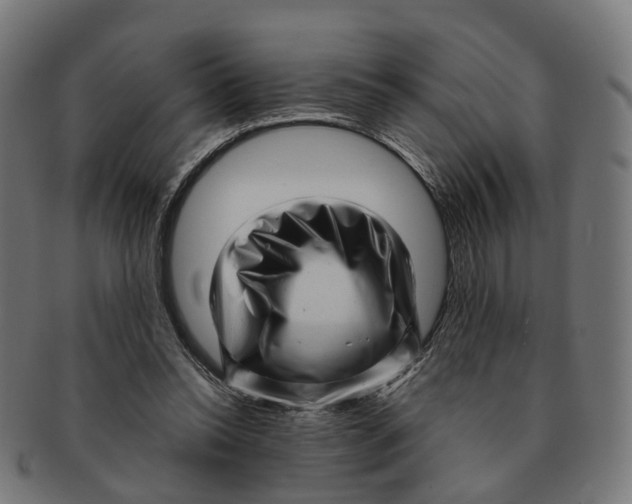X0000091240350200709061545