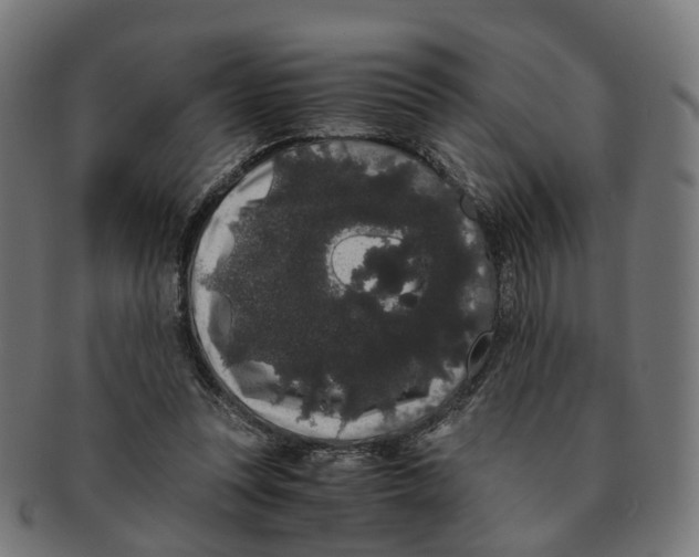 X0000091240351200709061545