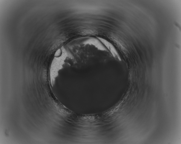 X0000091240353200709061545