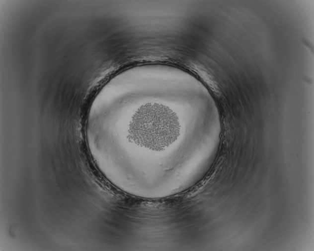 X0000091240354200709061545