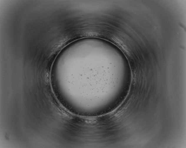 X0000091240355200709061545